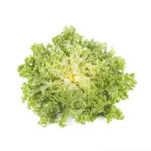 Frisee salat