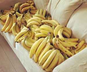 Banaanid2