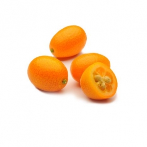kumquats 1