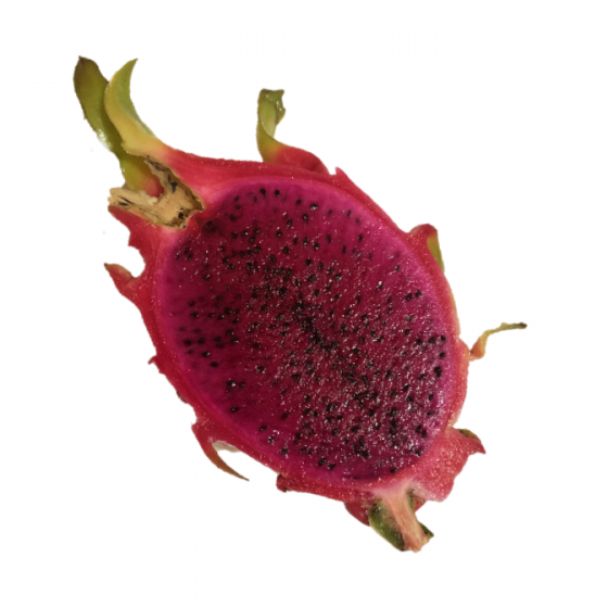 Pitahaya punane e Draakonivili (roosa viljalihaga)